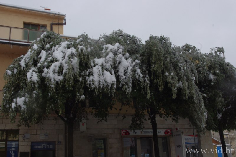 Metkovic (64)